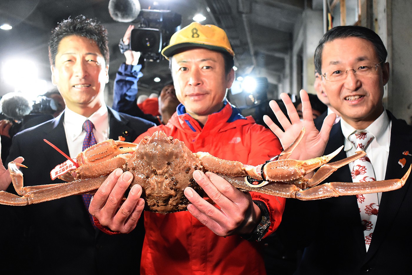 世界最高 − 日本「五辉星」雪蟹以 ¥500 万日圆价格成功卖出