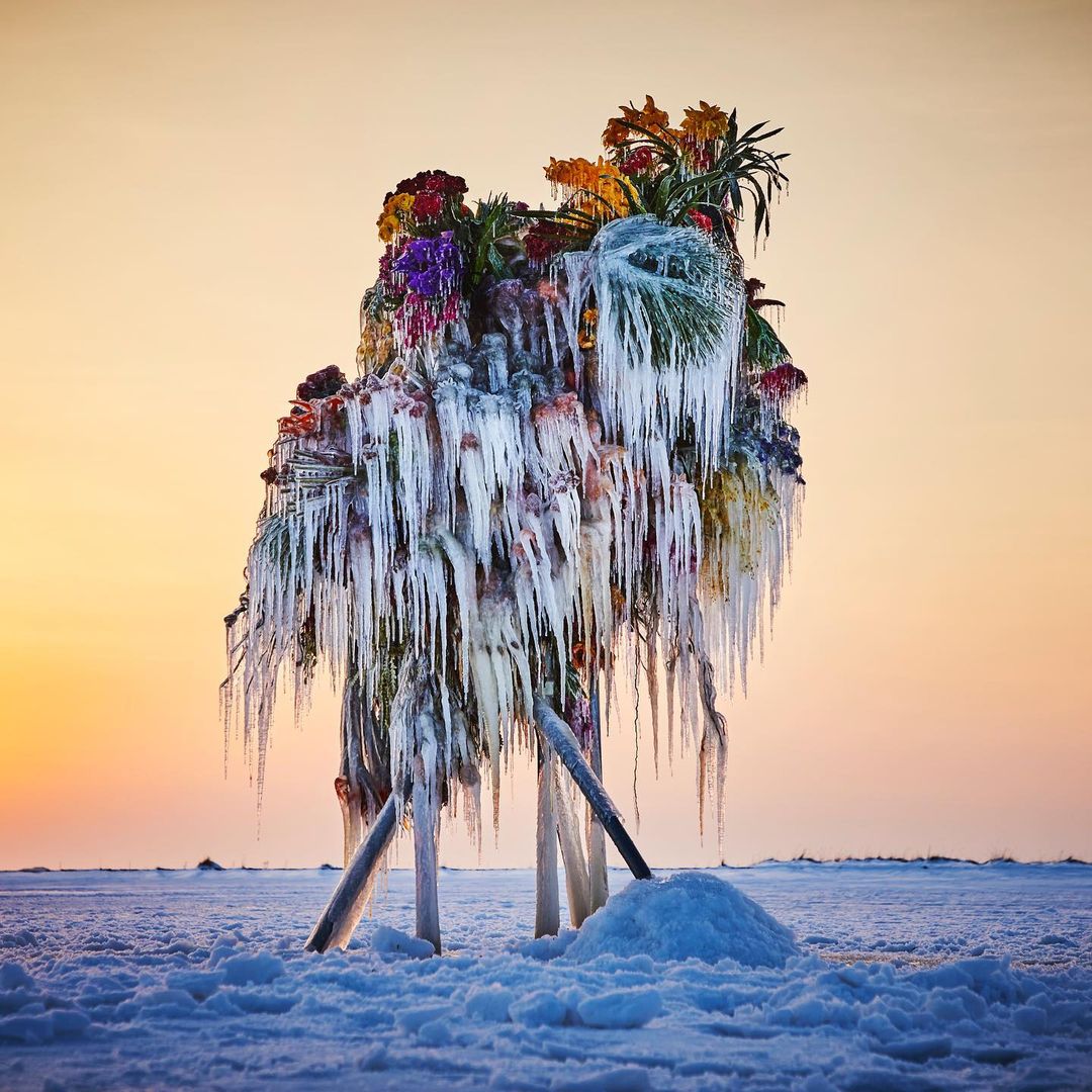 知名花卉艺术家 Azuma Makoto 打造全新作品《Frozen Flowers》