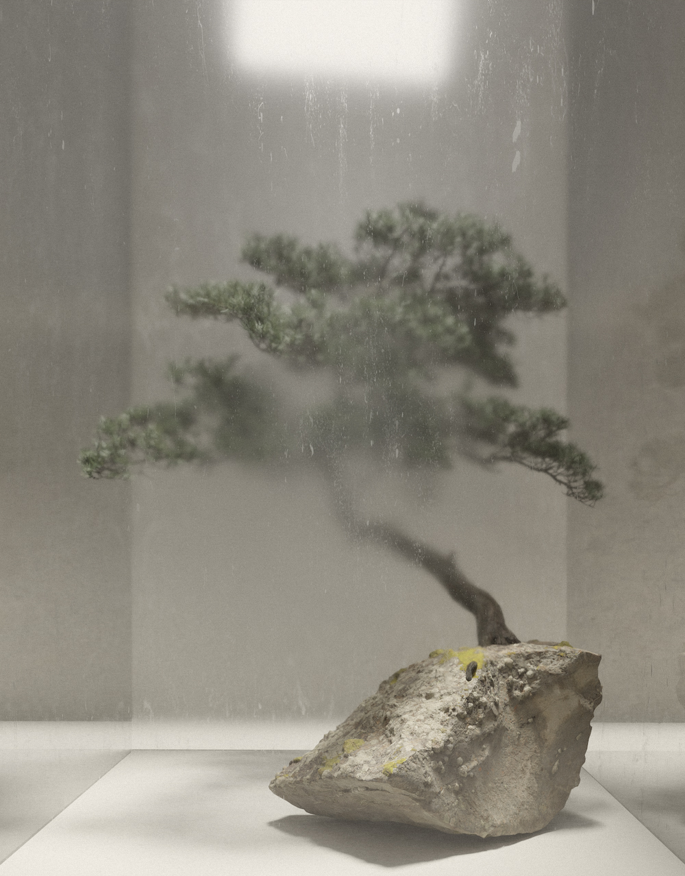 法国时装品牌 ARNODEFRANCE 发布「巨石上的独松」系列
