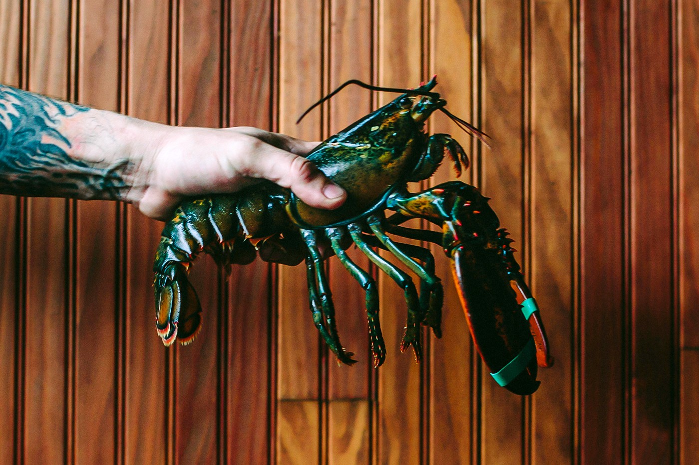 英国宣布立法禁止「活煮」甲壳类动物