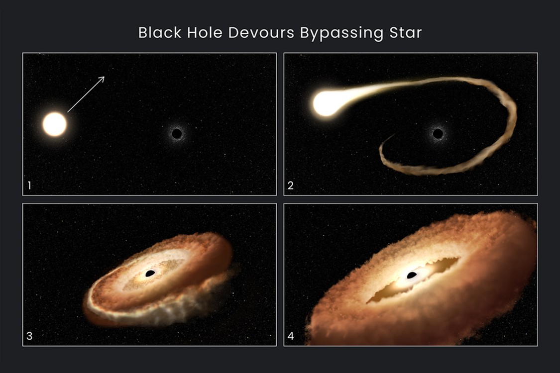 NASA 公开「黑洞撕裂恒星」完整记录影片