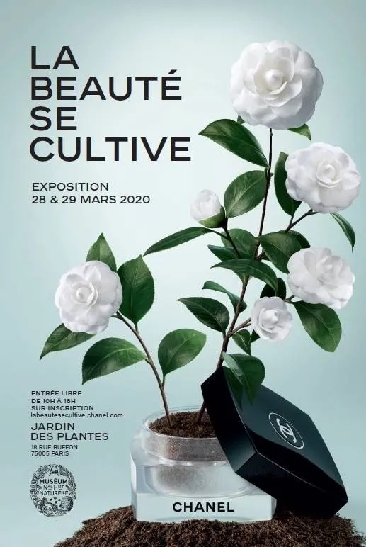 Chanel 沉浸式园艺体验展推迟到今年9月在巴黎举办
