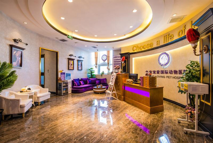 专注于宠物老龄化诊疗，宠爱国际完成C轮数亿元人民币融资